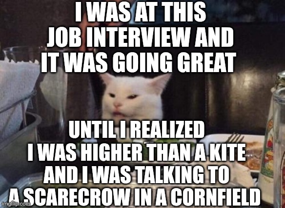 Smudge that darn cat | I WAS AT THIS JOB INTERVIEW AND IT WAS GOING GREAT; UNTIL I REALIZED I WAS HIGHER THAN A KITE AND I WAS TALKING TO A SCARECROW IN A CORNFIELD | image tagged in smudge that darn cat | made w/ Imgflip meme maker