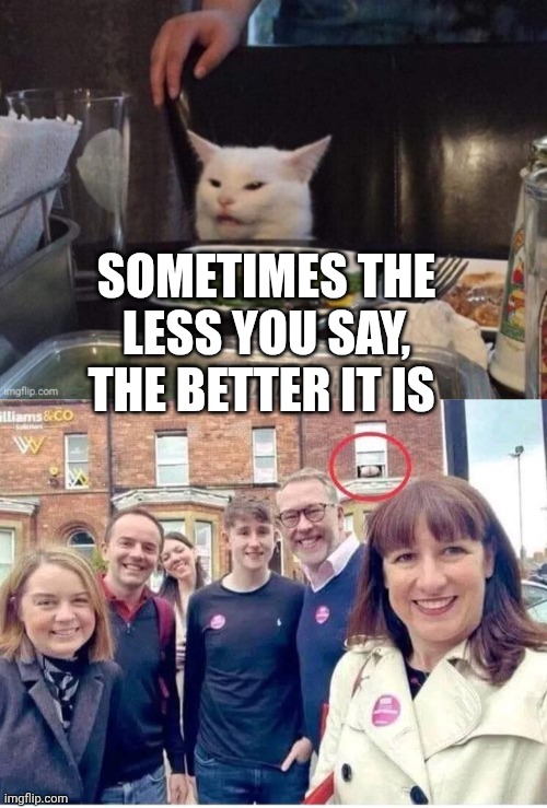 SOMETIMES THE LESS YOU SAY, THE BETTER IT IS | image tagged in smudge that darn cat | made w/ Imgflip meme maker