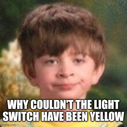 Annoyed face | WHY COULDN'T THE LIGHT SWITCH HAVE BEEN YELLOW | image tagged in annoyed face | made w/ Imgflip meme maker