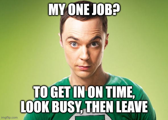 Sheldon Cooper | MY ONE JOB? TO GET IN ON TIME, LOOK BUSY, THEN LEAVE | image tagged in sheldon cooper | made w/ Imgflip meme maker