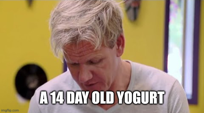 FINALLY SOME GOOD FOOD | A 14 DAY OLD YOGURT | image tagged in finally some good food | made w/ Imgflip meme maker
