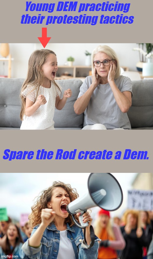 Young DEM practicing their protesting tactics; Spare the Rod create a Dem. | made w/ Imgflip meme maker
