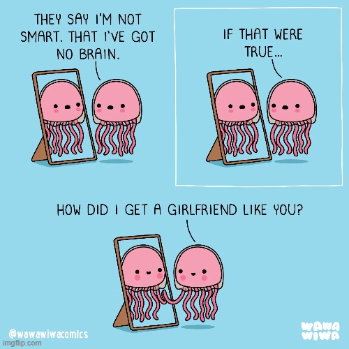 image tagged in jellyfish,mirror,smart,not,girlfriend,lol | made w/ Imgflip meme maker