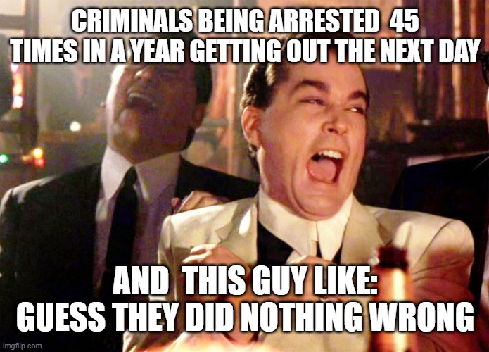 CRIMINALS BEING ARRESTED  45 TIMES IN A YEAR GETTING OUT THE NEXT DAY AND  THIS GUY LIKE: GUESS THEY DID NOTHING WRONG | image tagged in memes,good fellas hilarious | made w/ Imgflip meme maker
