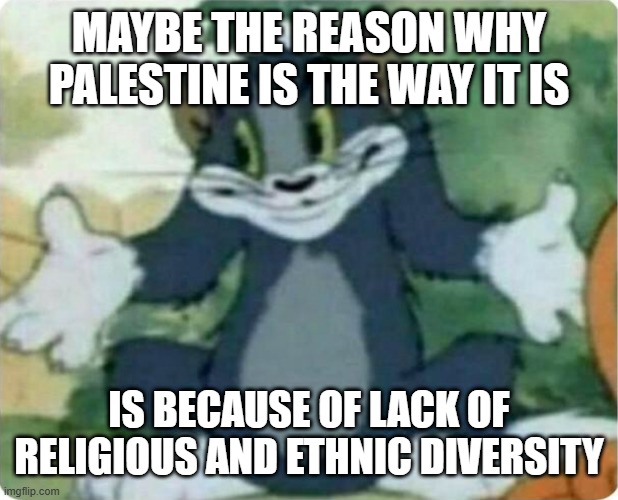 I think about 45 million white english speaking Christians would solve this issue pretty quick | MAYBE THE REASON WHY PALESTINE IS THE WAY IT IS; IS BECAUSE OF LACK OF RELIGIOUS AND ETHNIC DIVERSITY | image tagged in tom shrugging | made w/ Imgflip meme maker