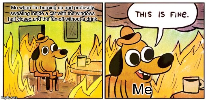 This Is Fine | Me when I'm burning up and profusely sweating inside a car with the windows half closed and the fan off without a drink; Me | image tagged in memes,this is fine | made w/ Imgflip meme maker
