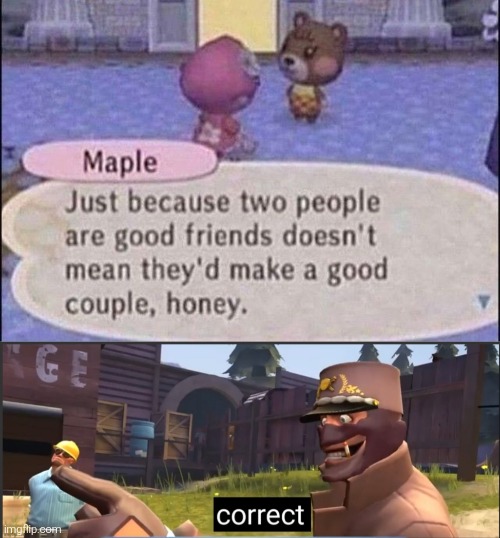 She's way smarter than any fandoms about relationships! | image tagged in correct,animal crossing | made w/ Imgflip meme maker