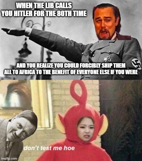 Be the fascist they so desperately expect you to be lol | WHEN THE LIB CALLS YOU HITLER FOR THE 80TH TIME; AND YOU REALIZE YOU COULD FORCIBLY SHIP THEM ALL TO AFRICA TO THE BENEFIT OF EVERYONE ELSE IF YOU WERE | image tagged in adolf hitler heil,dont test me hoe meme | made w/ Imgflip meme maker