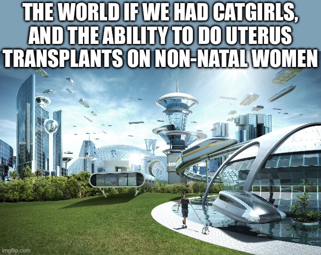 Transhumanism or something, idk | THE WORLD IF WE HAD CATGIRLS, AND THE ABILITY TO DO UTERUS TRANSPLANTS ON NON-NATAL WOMEN | image tagged in futuristic utopia,future,transhumanism,funny,catgirls,genetics | made w/ Imgflip meme maker