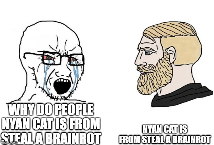 Steal a Brainrot kids be like | NYAN CAT IS FROM STEAL A BRAINROT; WHY DO PEOPLE NYAN CAT IS FROM STEAL A BRAINROT | image tagged in soyboy vs yes chad | made w/ Imgflip meme maker