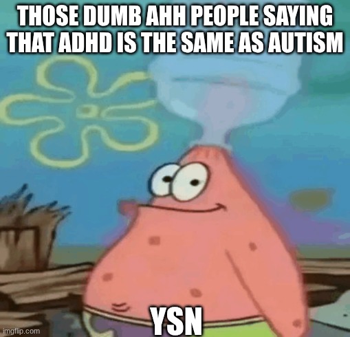 ADHD STUPIDITY | THOSE DUMB AHH PEOPLE SAYING THAT ADHD IS THE SAME AS AUTISM; YSN | image tagged in dumb patrick,adhd,special,stupid | made w/ Imgflip meme maker
