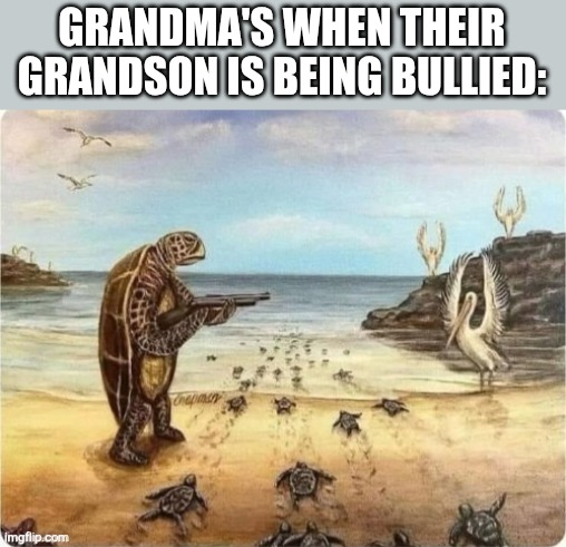 Turtle aiming gun at birds | GRANDMA'S WHEN THEIR GRANDSON IS BEING BULLIED: | image tagged in turtle aiming gun at birds | made w/ Imgflip meme maker
