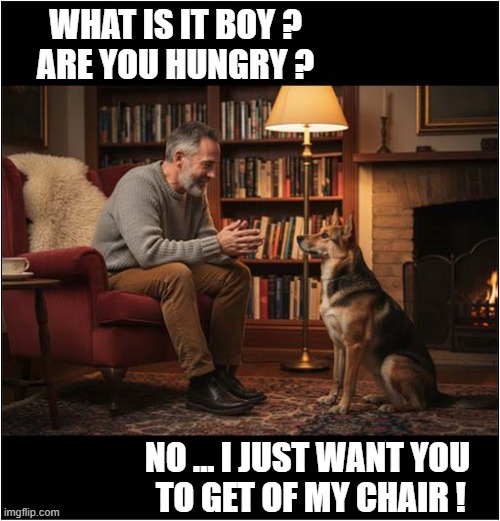 A Breakdown In Communication | WHAT IS IT BOY ?
ARE YOU HUNGRY ? NO ... I JUST WANT YOU
 TO GET OF MY CHAIR ! | image tagged in dogs,owner,chair | made w/ Imgflip meme maker