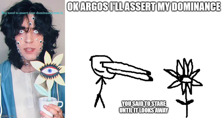 Assert Your Dominance | OK ARGOS I'LL ASSERT MY DOMINANCE; YOU SAID TO STARE UNTIL IT LOOKS AWAY | image tagged in argos,gardening with argos,plants,twomp | made w/ Imgflip meme maker