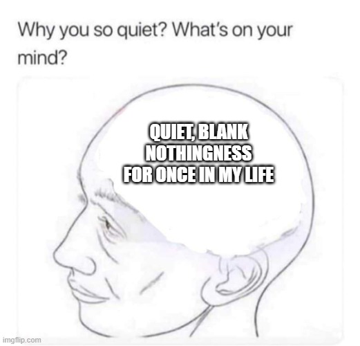 wouldn't it be nice to just *not* think about things... maybe even slip out of existence for a little bit? | QUIET, BLANK NOTHINGNESS FOR ONCE IN MY LIFE | image tagged in what's on your mind | made w/ Imgflip meme maker