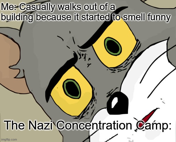 My dumb ahh posted this on the wrong stream | Me: Casually walks out of a building because it started to smell funny; The Nazi Concentration Camp: | image tagged in memes,unsettled tom,ww2,dark humor,sorry,nazi | made w/ Imgflip meme maker