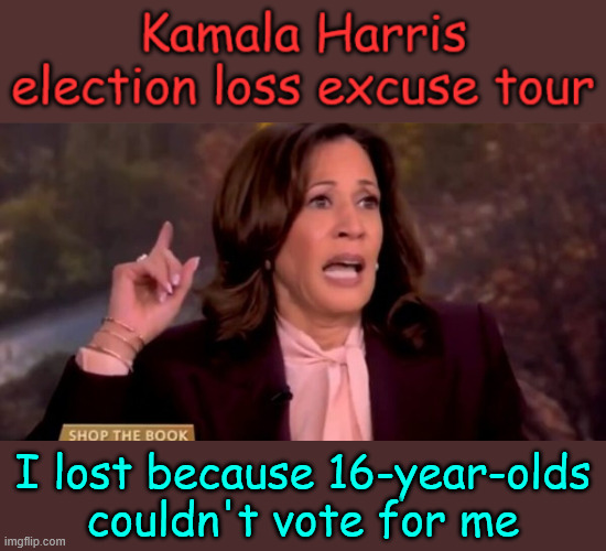 I lost because 16-year-olds couldn't vote for me | made w/ Imgflip meme maker