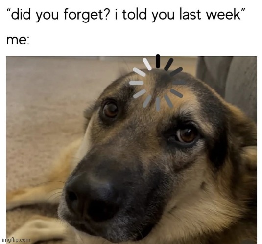 DawG with a big G | made w/ Imgflip meme maker