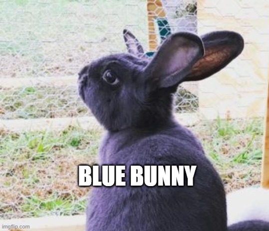 bnuuy of the day 11/4 | BLUE BUNNY | image tagged in bnuuy,bunny | made w/ Imgflip meme maker