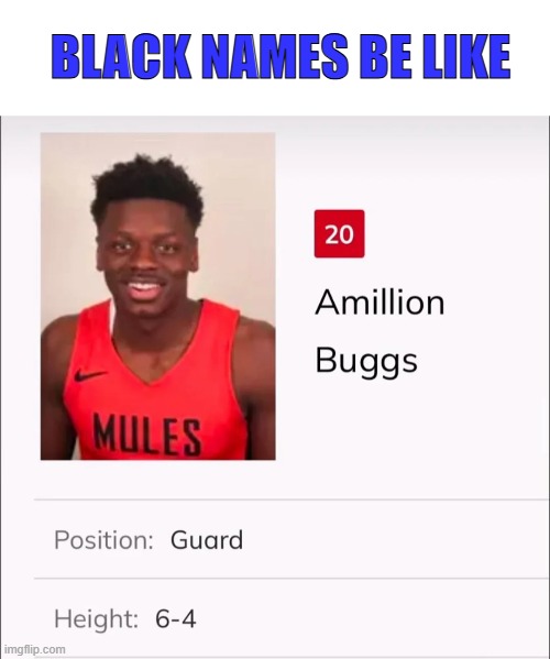 not making fun. just an observation. | BLACK NAMES BE LIKE | image tagged in black people,be like,memes,tragedeigh | made w/ Imgflip meme maker