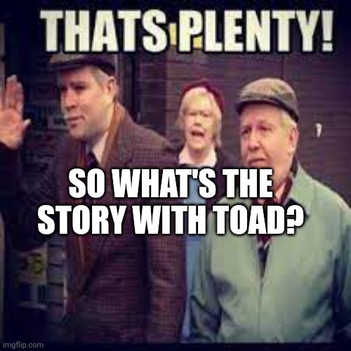 thats plenty | SO WHAT'S THE STORY WITH TOAD? | image tagged in thats plenty | made w/ Imgflip meme maker