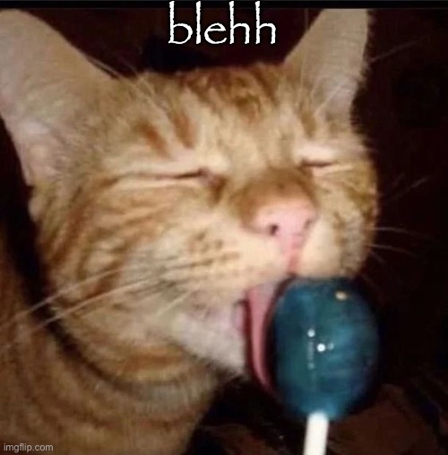 silly goober 2 | blehh | image tagged in silly goober 2 | made w/ Imgflip meme maker