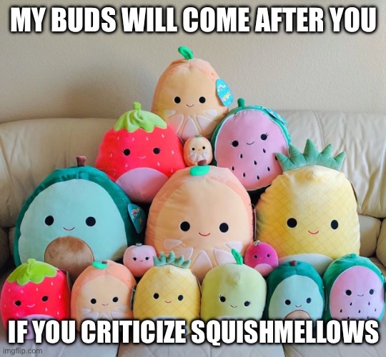 Group of squishmallows | MY BUDS WILL COME AFTER YOU; IF YOU CRITICIZE SQUISHMELLOWS | image tagged in group of squishmallows | made w/ Imgflip meme maker