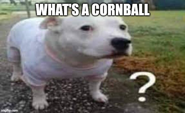 Dog question mark | WHAT'S A CORNBALL | image tagged in dog question mark | made w/ Imgflip meme maker