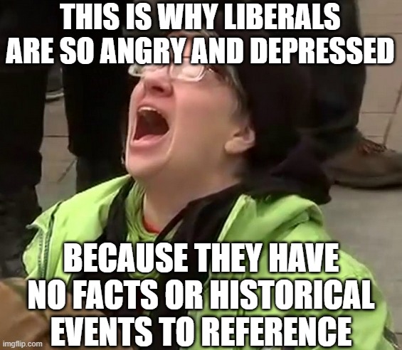 THIS IS WHY LIBERALS ARE SO ANGRY AND DEPRESSED BECAUSE THEY HAVE NO FACTS OR HISTORICAL EVENTS TO REFERENCE | image tagged in crying liberal | made w/ Imgflip meme maker
