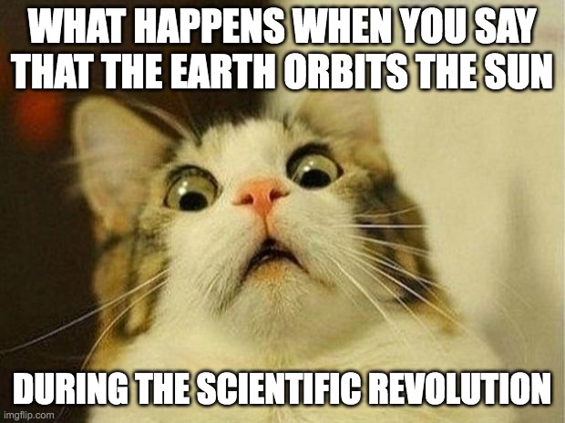 In the Scientific Discussion | WHAT HAPPENS WHEN YOU SAY THAT THE EARTH ORBITS THE SUN; DURING THE SCIENTIFIC REVOLUTION | image tagged in memes,scared cat | made w/ Imgflip meme maker