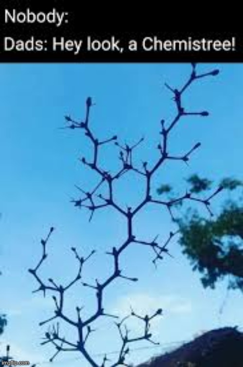 Nobody: Dads: "Hey look! A chemistree!" | image tagged in tree,repost,chemistry,chemistree | made w/ Imgflip meme maker