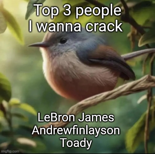 No balls | Top 3 people I wanna crack; LeBron James 
Andrewfinlayson 
Toady | image tagged in no balls | made w/ Imgflip meme maker