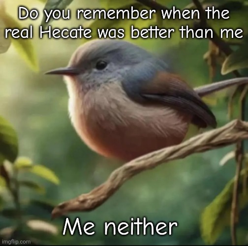 No balls | Do you remember when the real Hecate was better than me; Me neither | image tagged in no balls | made w/ Imgflip meme maker