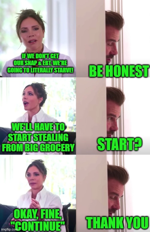 Victoria David Beckham Be Honest | IF WE DON'T GET OUR SNAP & EBT, WE'RE GOING TO LITERALLY STARVE! BE HONEST; WE'LL HAVE TO START STEALING FROM BIG GROCERY; START? OKAY, FINE, "CONTINUE"; THANK YOU | image tagged in victoria david beckham be honest | made w/ Imgflip meme maker