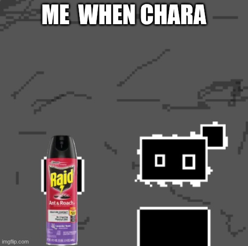 zones spray away gag | ME  WHEN CHARA | image tagged in zones spray away gag | made w/ Imgflip meme maker