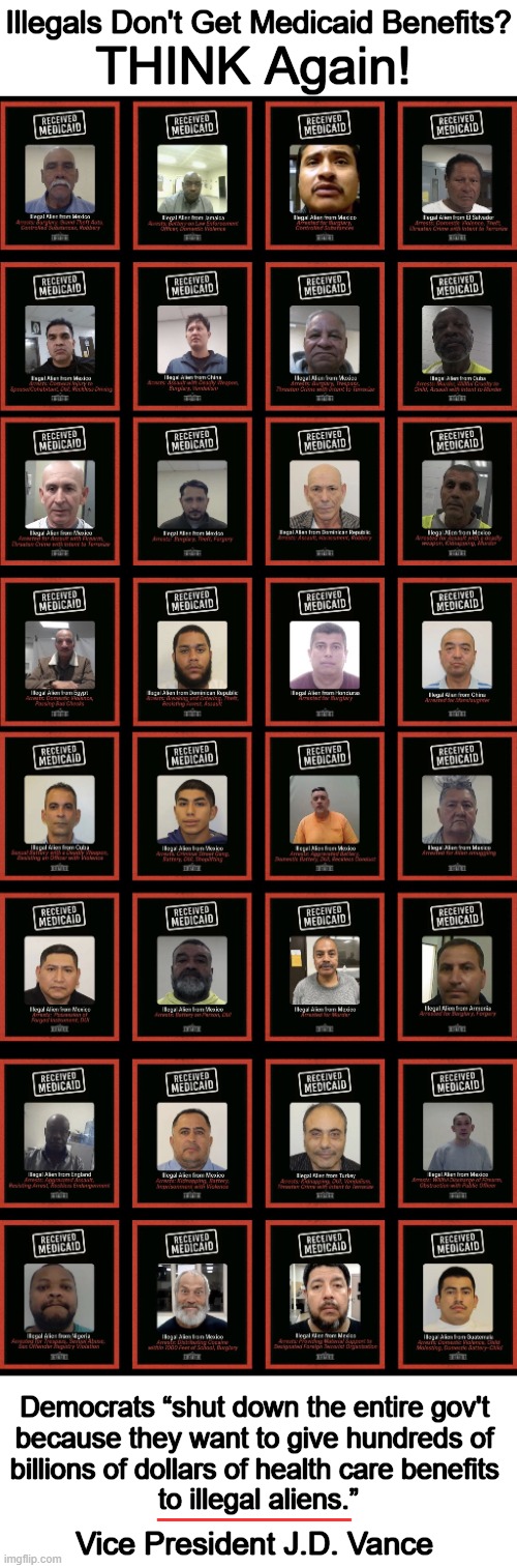 Almost 700,000 people removed from SNAP just since DJT took office! So much fraud, waste, & abuse! | Illegals Don't Get Medicaid Benefits? THINK Again! Democrats “shut down the entire gov't 
because they want to give hundreds of 
billions of dollars of health care benefits 
to illegal aliens.”; _______; Vice President J.D. Vance | image tagged in vote republican,democrat party is dead,fraud waste abuse,right vs wrong,illegal aliens,donald trump | made w/ Imgflip meme maker