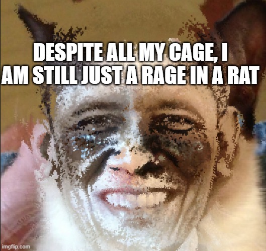 Cat obama | DESPITE ALL MY CAGE, I AM STILL JUST A RAGE IN A RAT | image tagged in cat obama | made w/ Imgflip meme maker