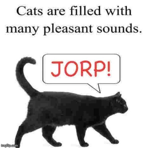 Man, fu​​ck "mrrow mrrp :3" we need "JORP! :<" | made w/ Imgflip meme maker