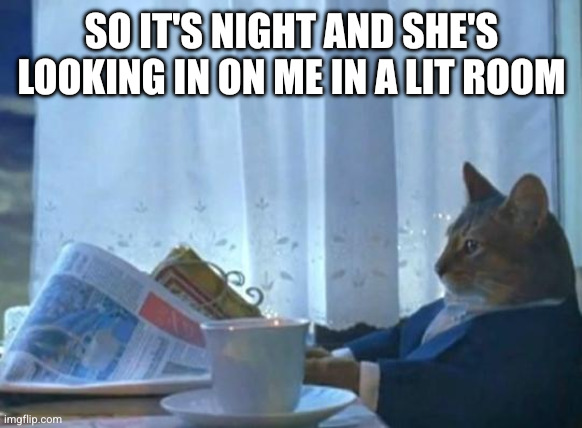Cat newspaper | SO IT'S NIGHT AND SHE'S LOOKING IN ON ME IN A LIT ROOM | image tagged in cat newspaper | made w/ Imgflip meme maker