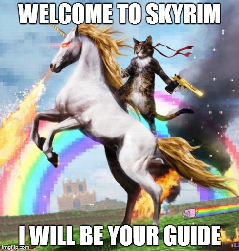 Welcome To The Internets Meme | WELCOME TO SKYRIM I WILL BE YOUR GUIDE | image tagged in memes,welcome to the internets | made w/ Imgflip meme maker