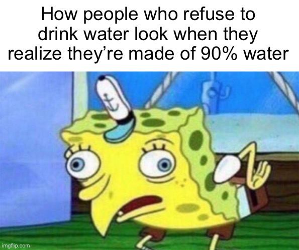 Make it make sense | How people who refuse to drink water look when they realize they’re made of 90% water | image tagged in spongebob stupid | made w/ Imgflip meme maker