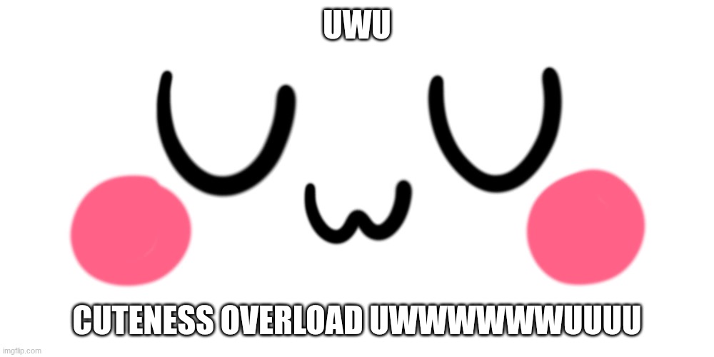 uwu | UWU; CUTENESS OVERLOAD UWWWWWWUUUU | image tagged in uwu | made w/ Imgflip meme maker