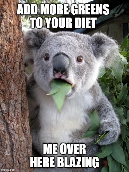 Smokin' Greens | ADD MORE GREENS TO YOUR DIET; ME OVER HERE BLAZING | image tagged in memes,surprised koala,dank memes,blaze,eating healthy,too damn high | made w/ Imgflip meme maker