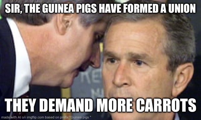 so real | SIR, THE GUINEA PIGS HAVE FORMED A UNION; THEY DEMAND MORE CARROTS | image tagged in guinea pig,capybara,food memes | made w/ Imgflip meme maker