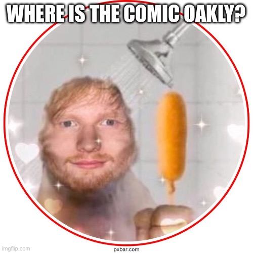 corndog sheeran | WHERE IS THE COMIC OAKLY? | image tagged in corndog sheeran | made w/ Imgflip meme maker