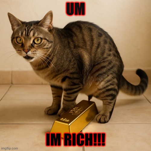 i um pooped out gold | UM; IM RICH!!! | image tagged in cat | made w/ Imgflip meme maker