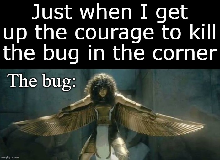 I can do this ...... no I can't | Just when I get up the courage to kill the bug in the corner; The bug: | image tagged in bugs | made w/ Imgflip meme maker