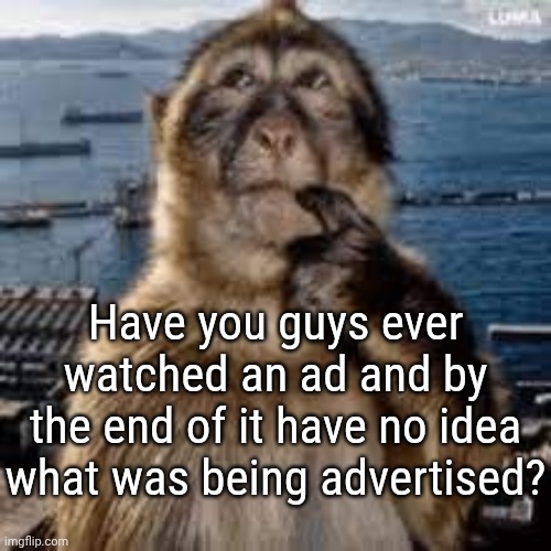 Wtf did I just watch? | Have you guys ever watched an ad and by the end of it have no idea what was being advertised? | image tagged in confused monkey | made w/ Imgflip meme maker