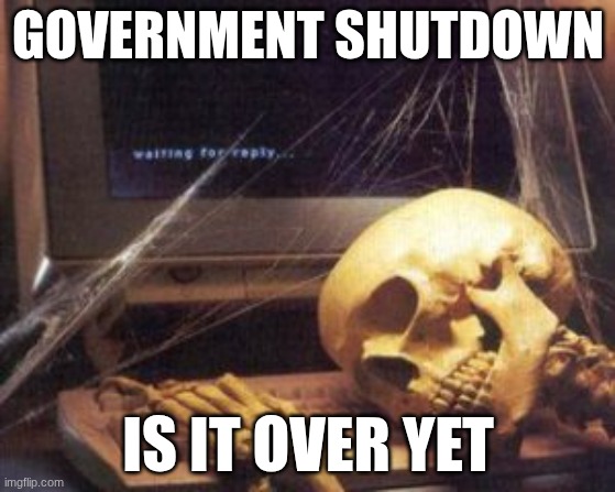 skeleton computer | GOVERNMENT SHUTDOWN; IS IT OVER YET | image tagged in skeleton computer | made w/ Imgflip meme maker