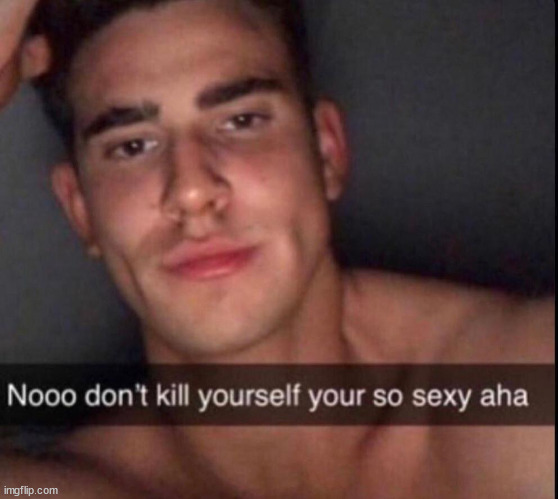 image tagged in nooo don't kill urself | made w/ Imgflip meme maker